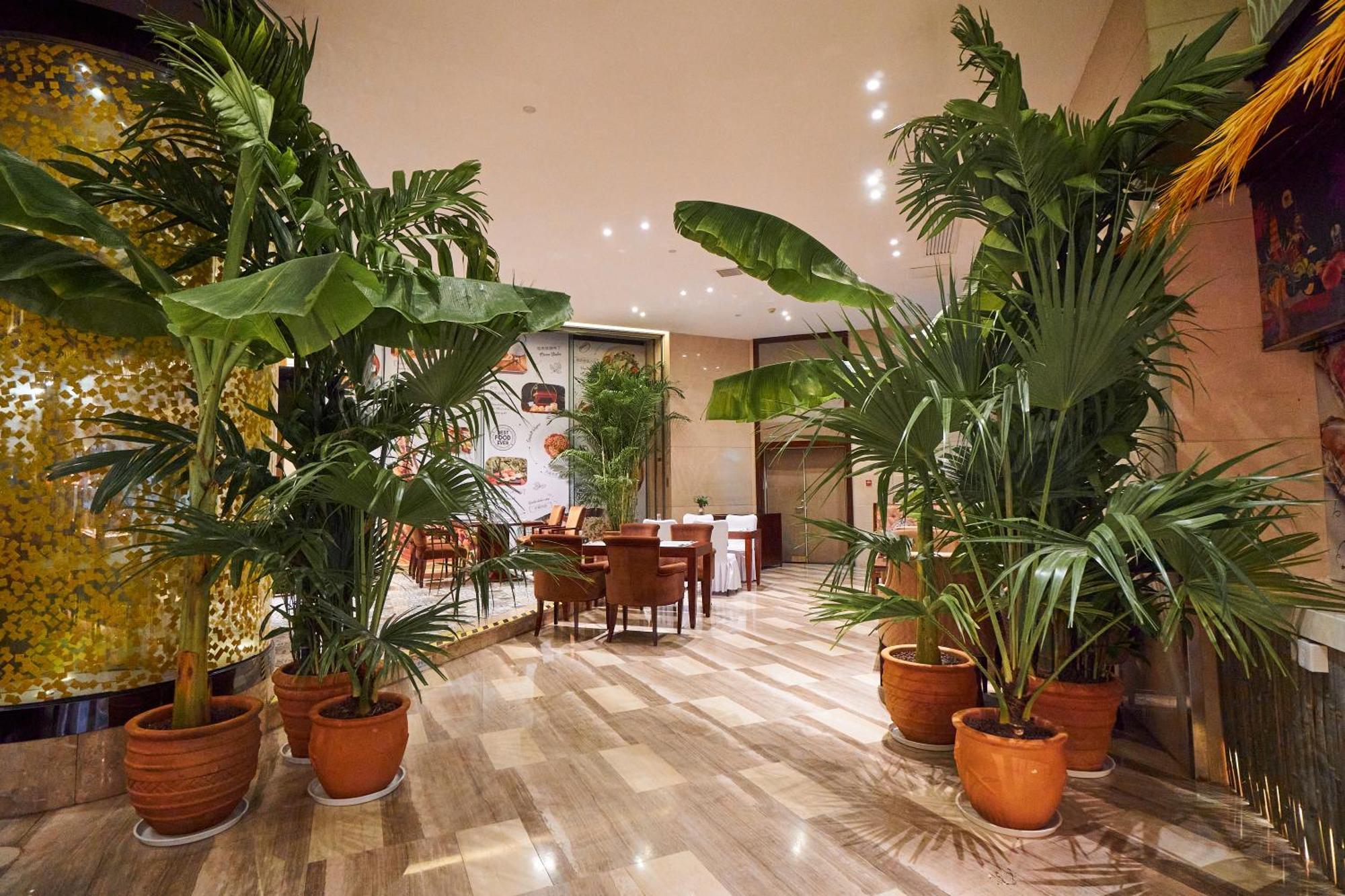 فندق Wyndham Grand Plaza Royale Chenzhou المظهر الخارجي الصورة
